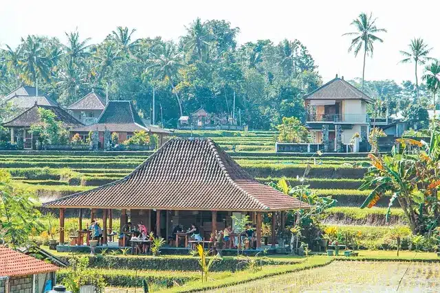 aiabali AIA Bali American International Advisors bali house